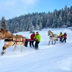 Activité Ski Joëring pour votre séminaire d'hiver dans les Alpes